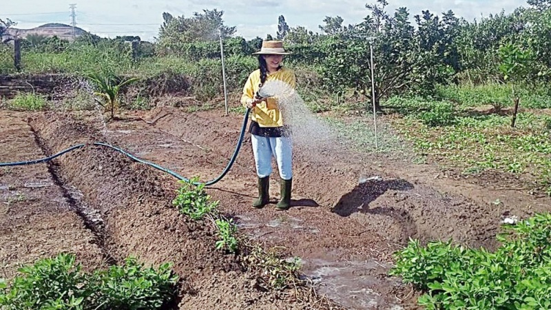 gia canh Tina Duong anh 3