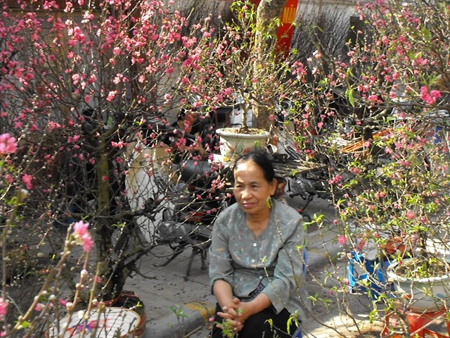 de xuat nghi Tet som anh 1