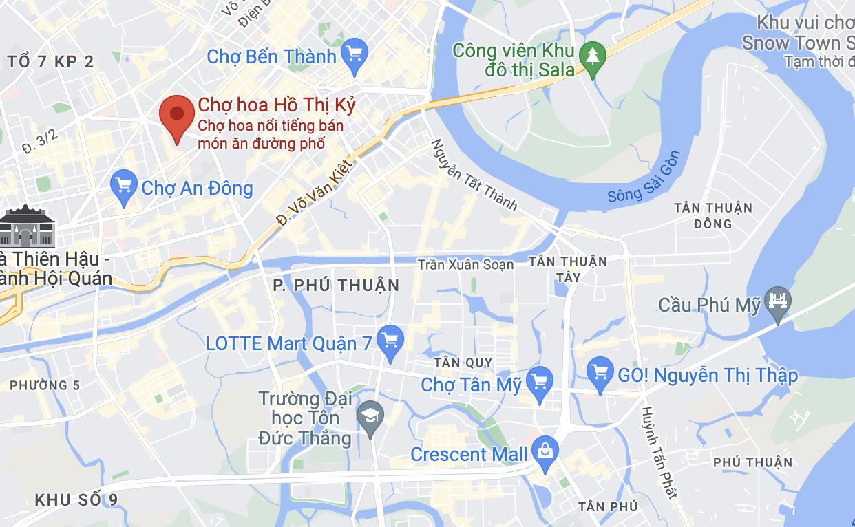 chay Ho Thi Ky anh 3