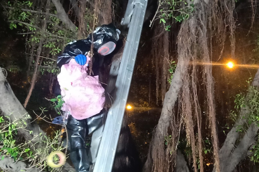 Canh sat bat ong anh 1