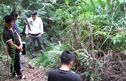 Nguoi dan ong tu vong voi lo thung o dau hinh anh