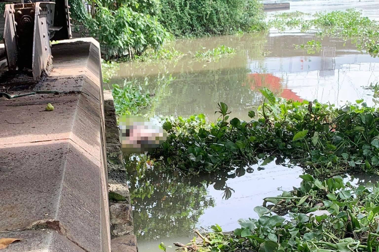 thi the troi song anh 1