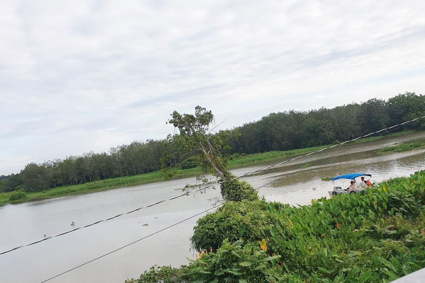 chay du thuyen anh 3
