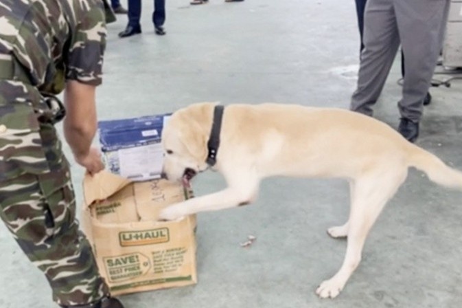 26 kg ma tuy trong 4 kien hang gui tu My, Duc ve Tan Son Nhat hinh anh