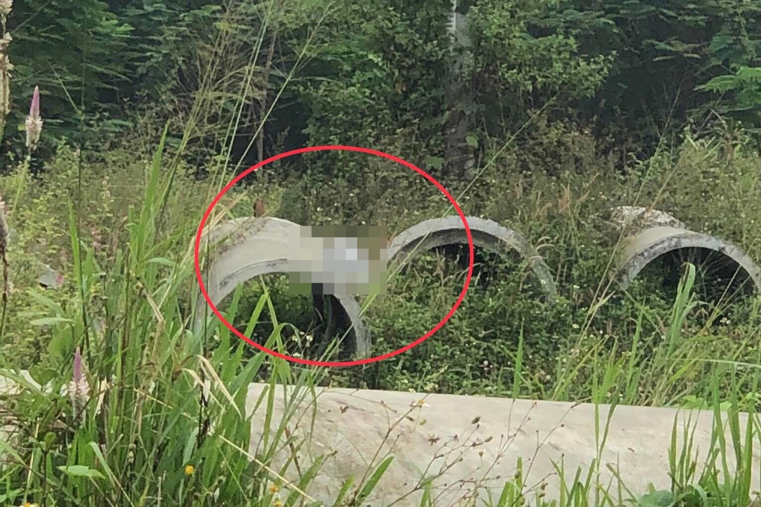 Phat hien thanh nien tu vong canh xe may va ba lo chua tien hinh anh