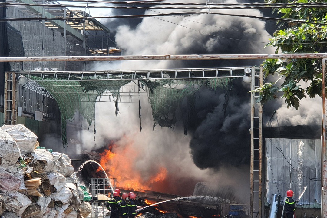 Hoa hoan thieu rui kho phe lieu 100 m2 o TP.HCM hinh anh