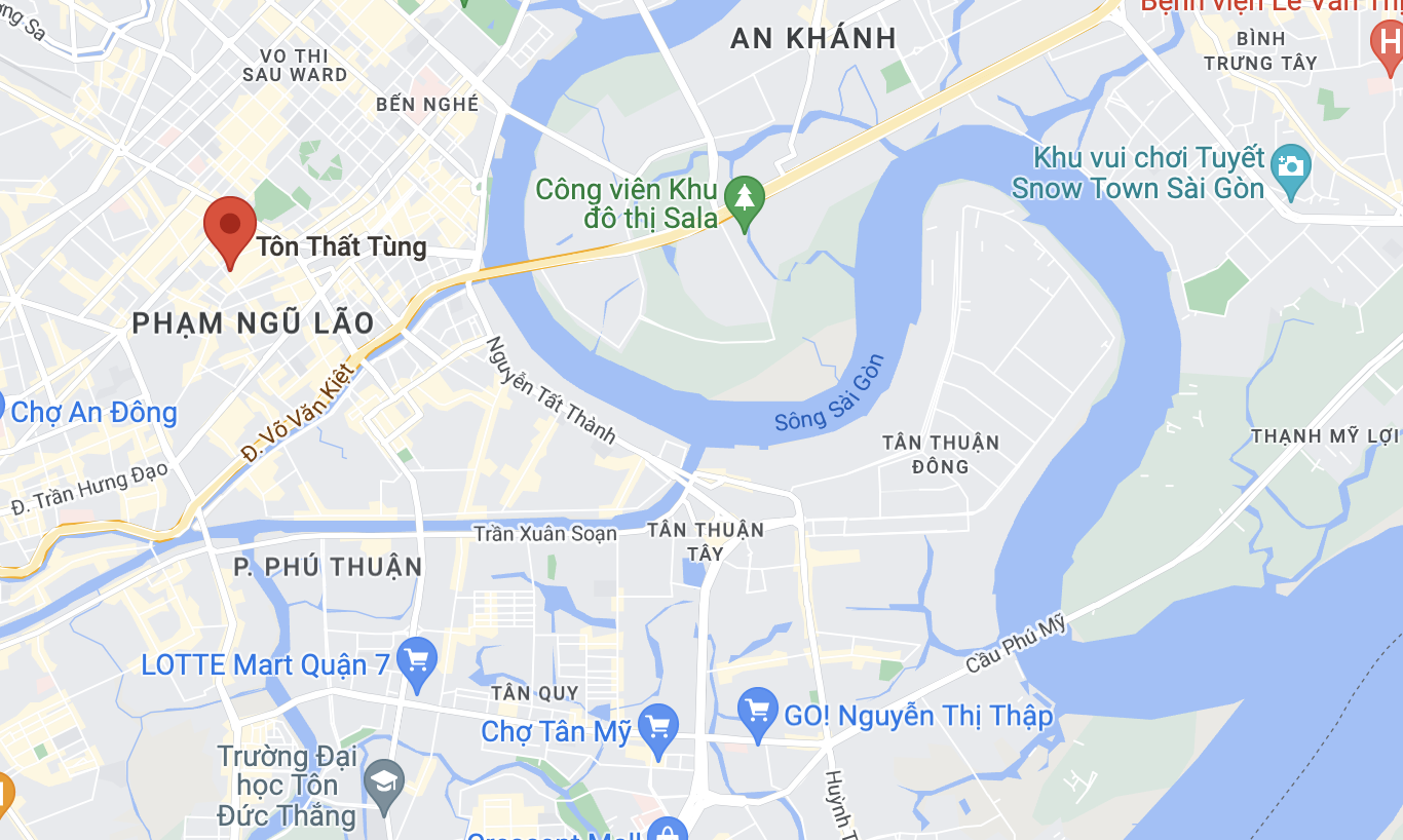 chay Ton That Tung anh 1