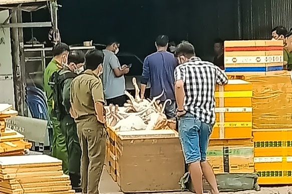 Kiem tra quan cay to, phat hien hon 100 con cho nghi bi bat trom hinh anh