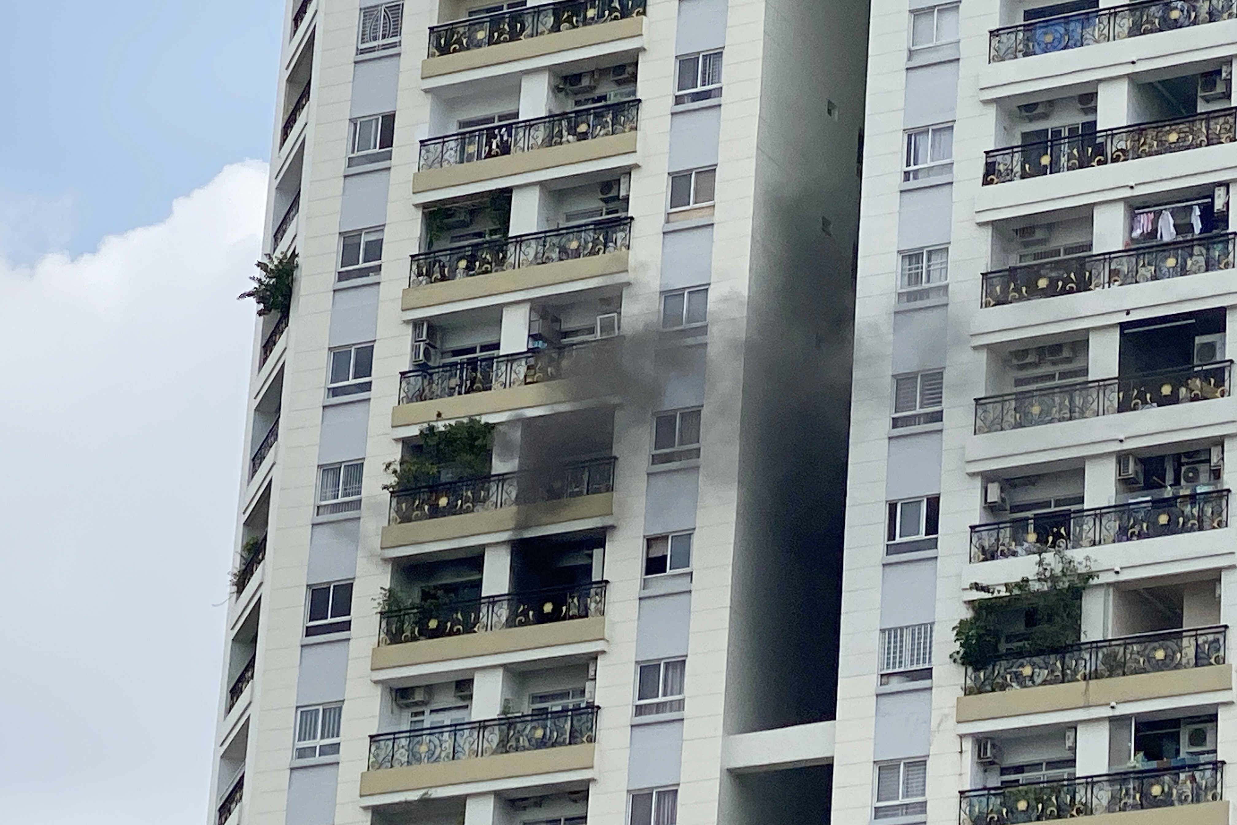 Chay o toa nha Flemington, hang tram nguoi thao chay hinh anh