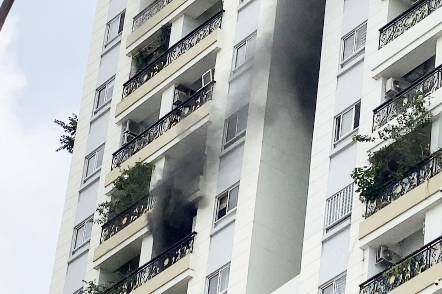 Cu dan ke luc thao chay khoi toa nha Flemington dang boc chay hinh anh