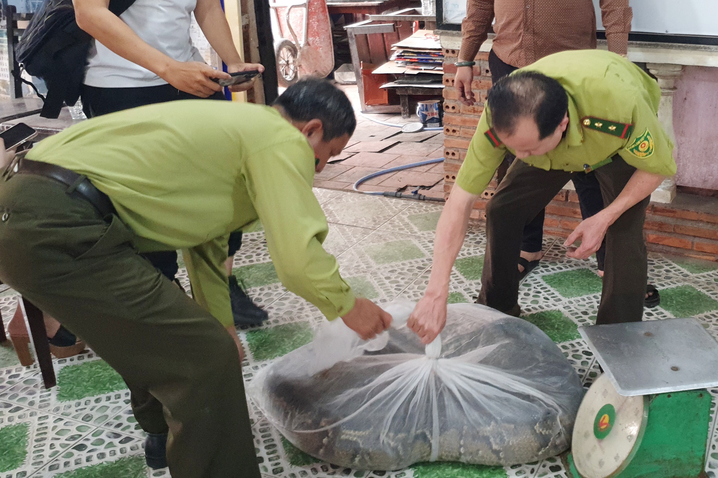 tran dat quy hiem anh 1