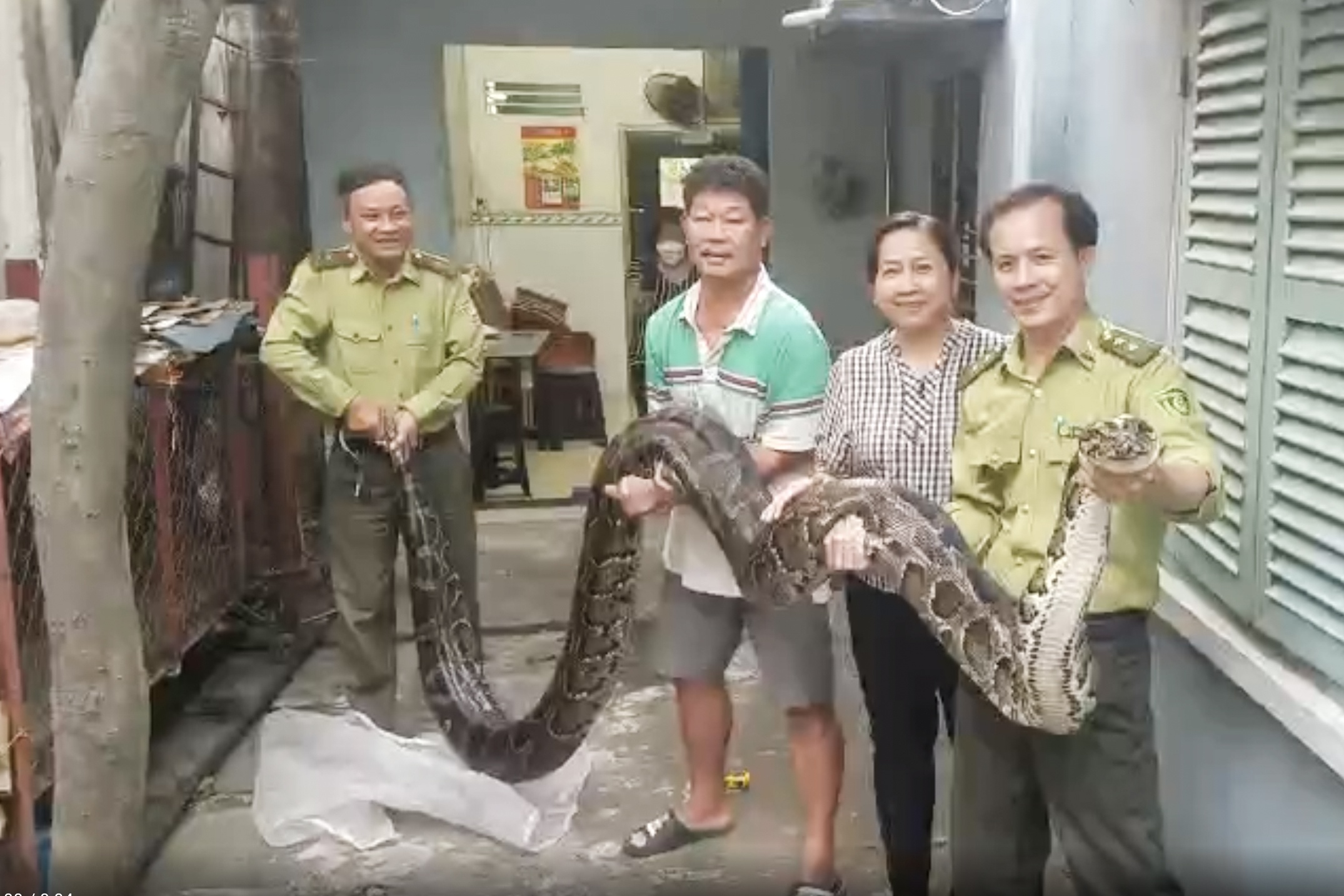 kiem lam TP.HCM anh 1