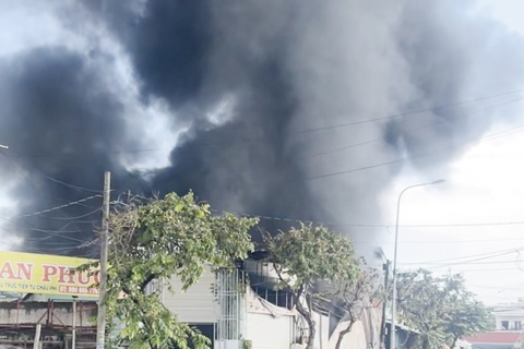 Chay kho chua thuc an gia suc rong hon 1.000 m2 o Tien Giang hinh anh