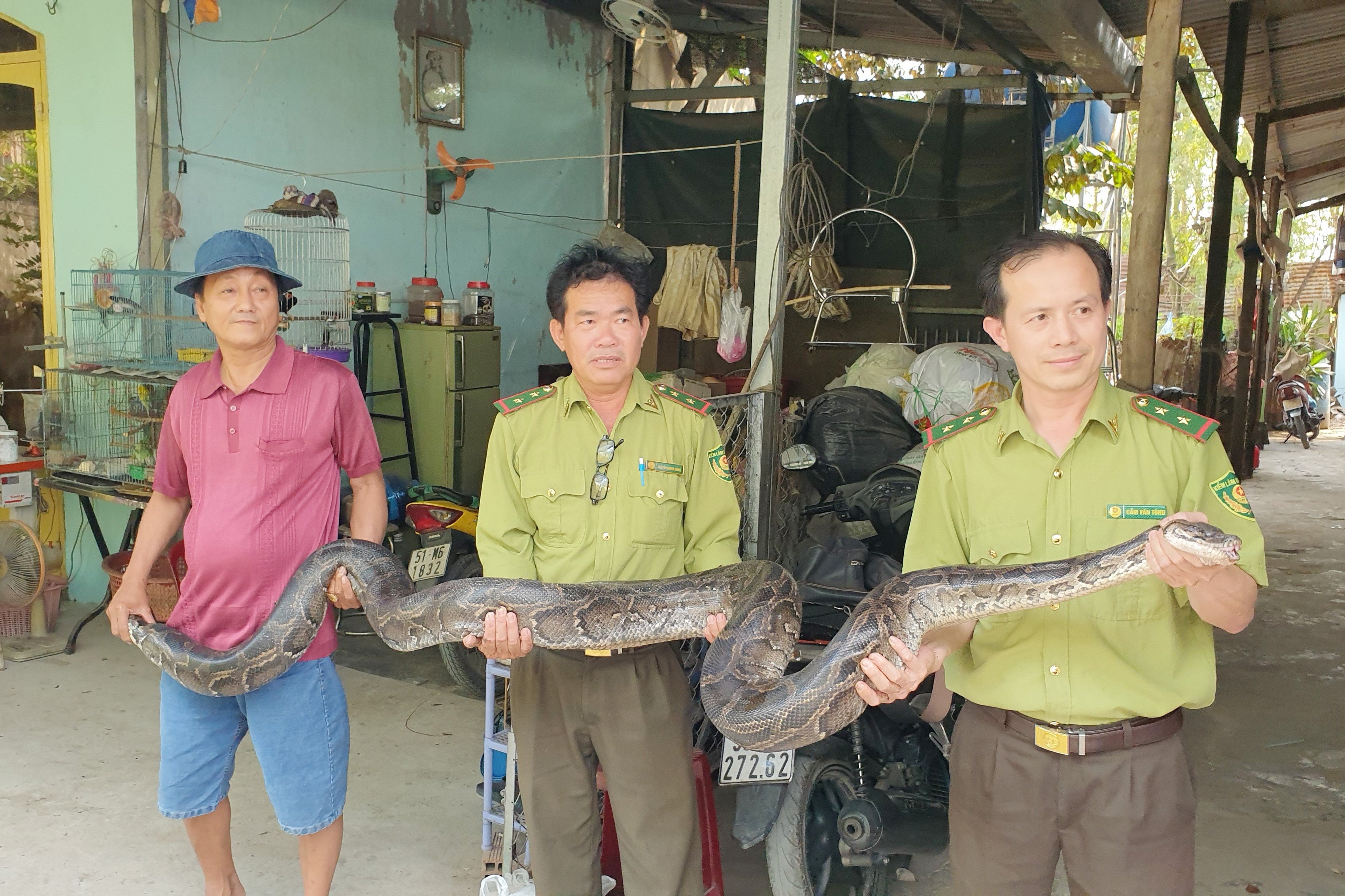 Nguoi dan TP.HCM ban giao con tran 32 kg cho kiem lam hinh anh