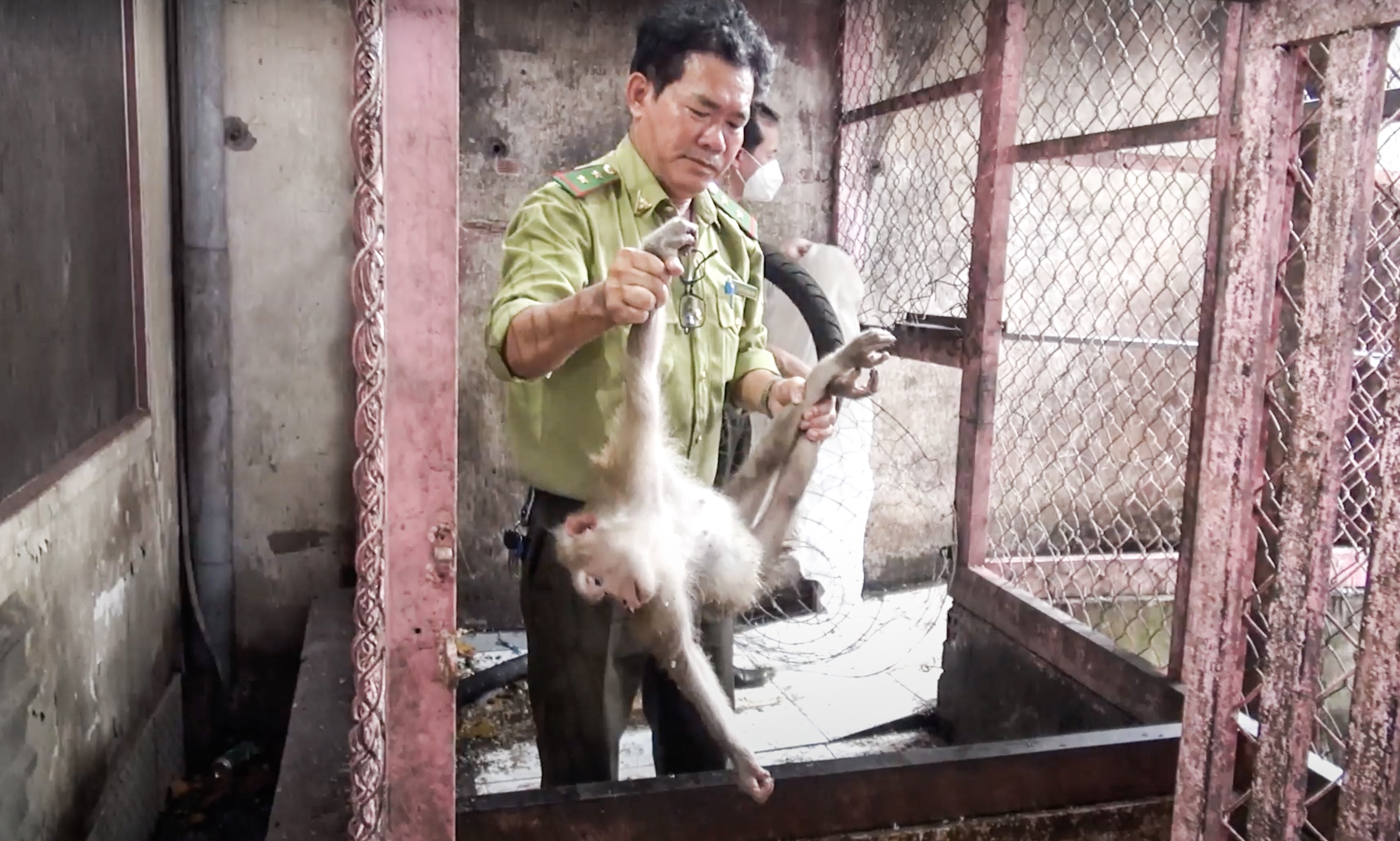 Nguoi dan o TP.HCM ban giao 5 con khi cho luc luong kiem lam hinh anh