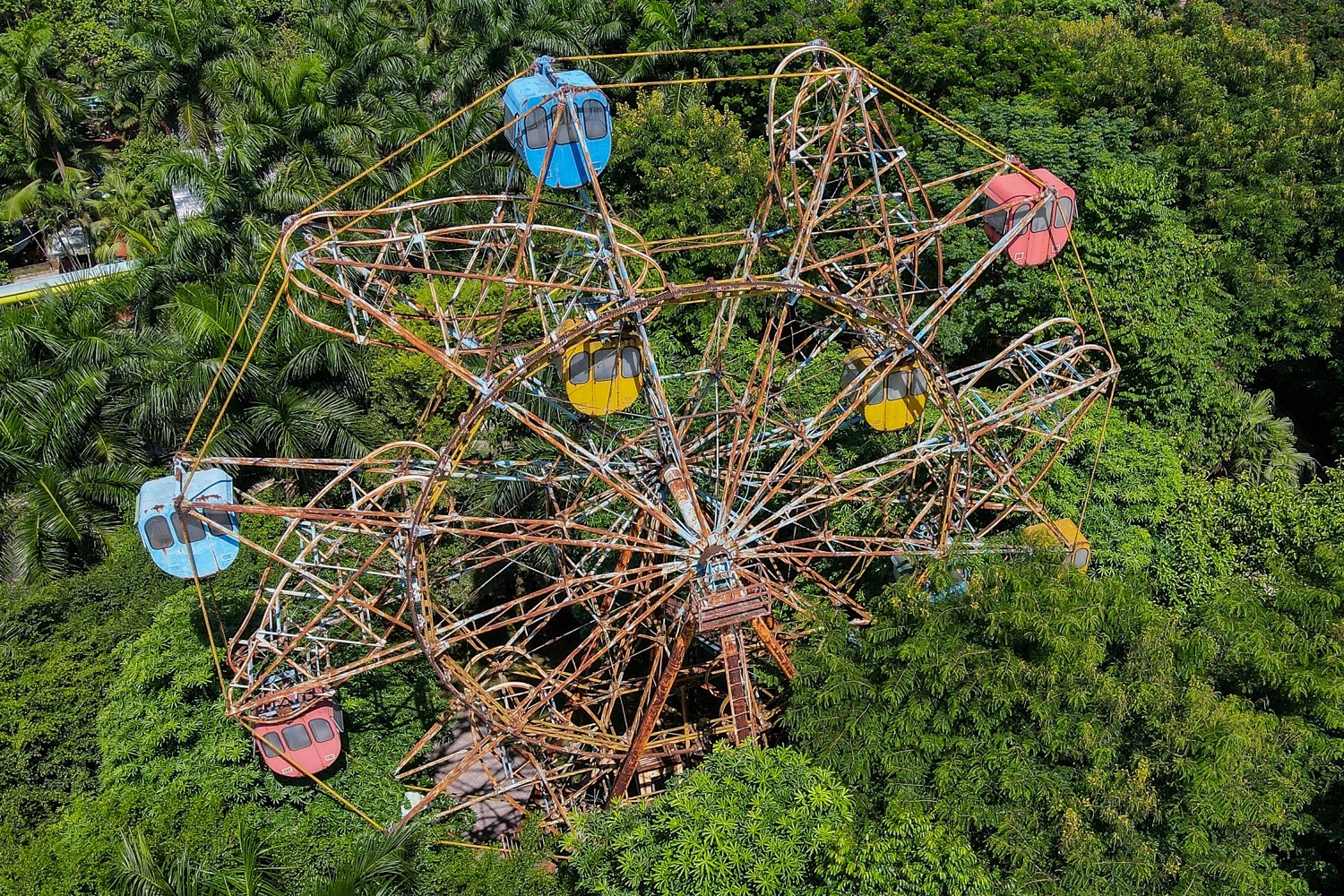 Xu ly dut diem sai pham tai Cong vien Tuoi tre trong thang 9 hinh anh