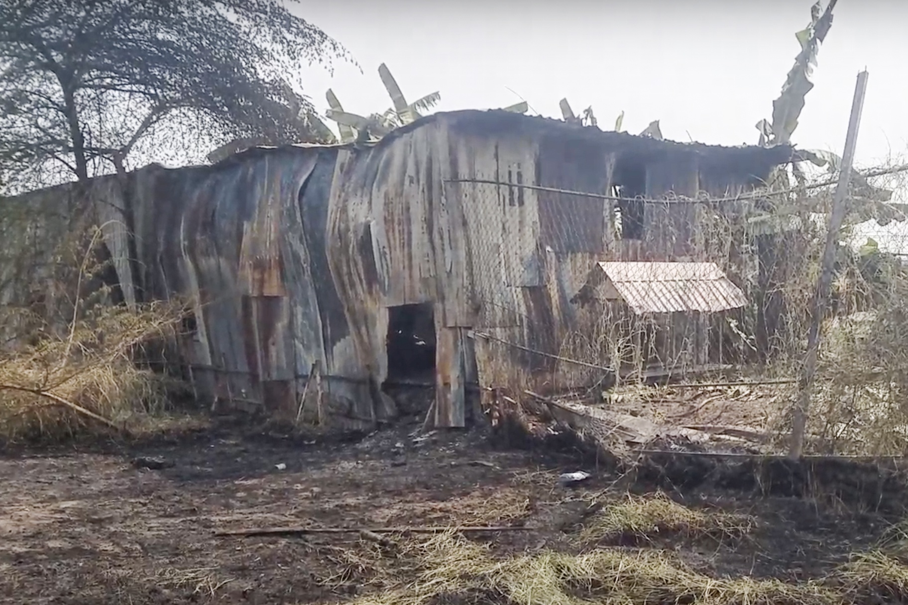 chay xuong moc anh 1