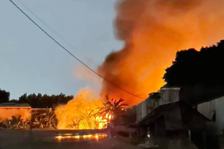 Hoa hoan thieu rui xuong moc o TP.HCM hinh anh