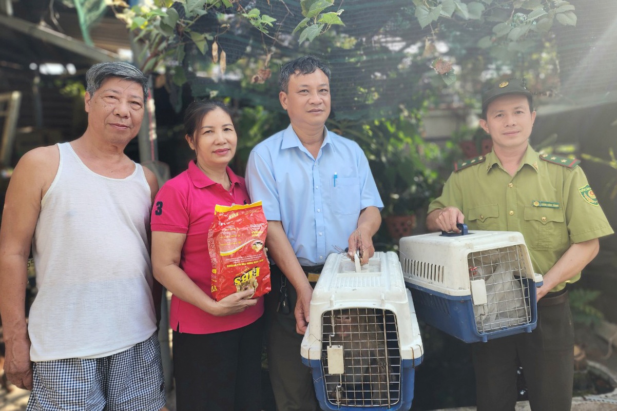 kiem lam TP.HCM anh 1