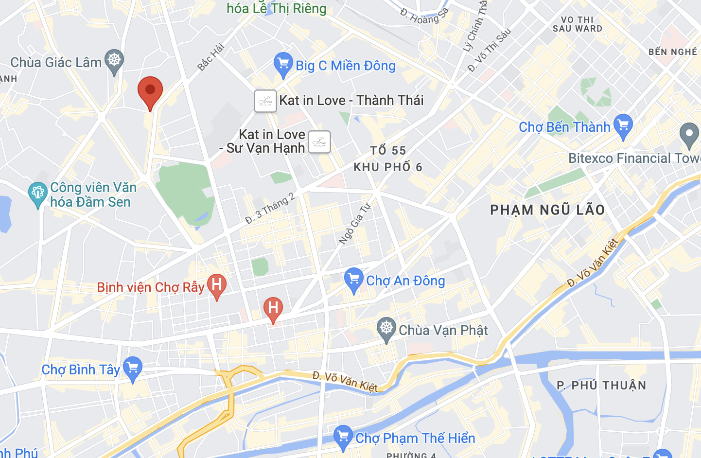 chay Tran Van Hoang anh 2