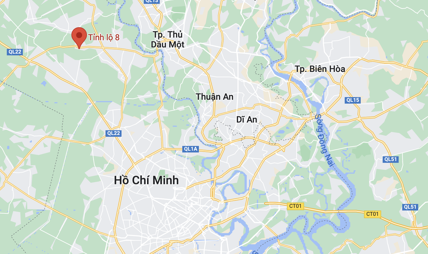 xe tong nha dan anh 2