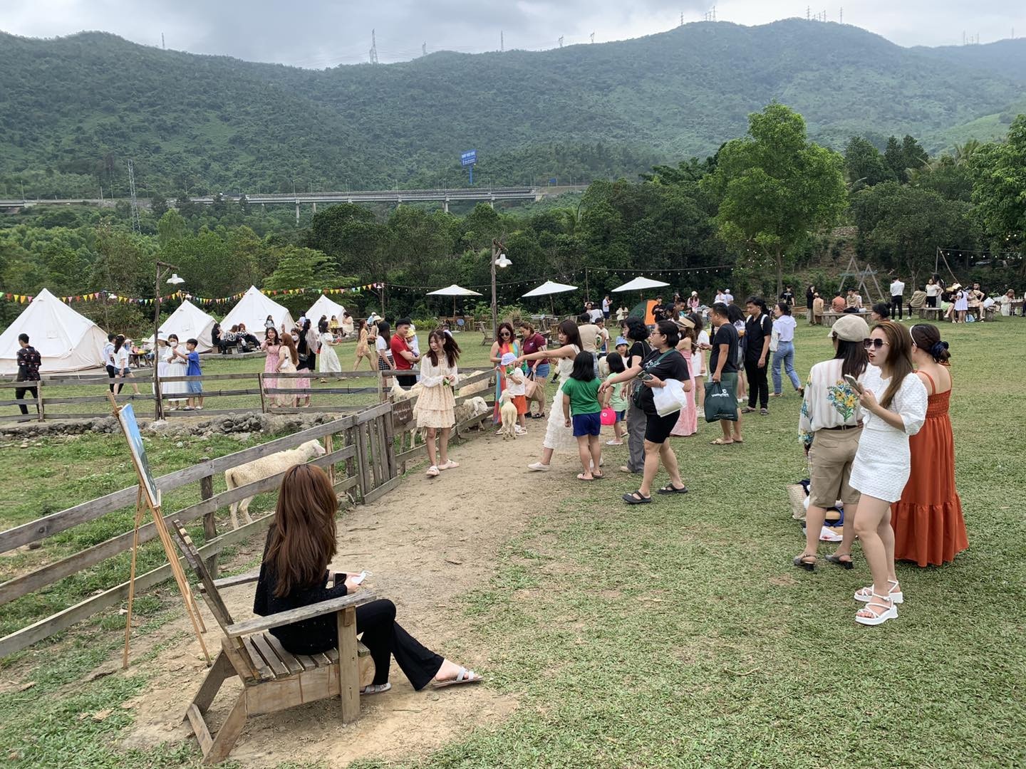 Dinh chi khu du lich chui, tu y thu phi o Da Nang hinh anh