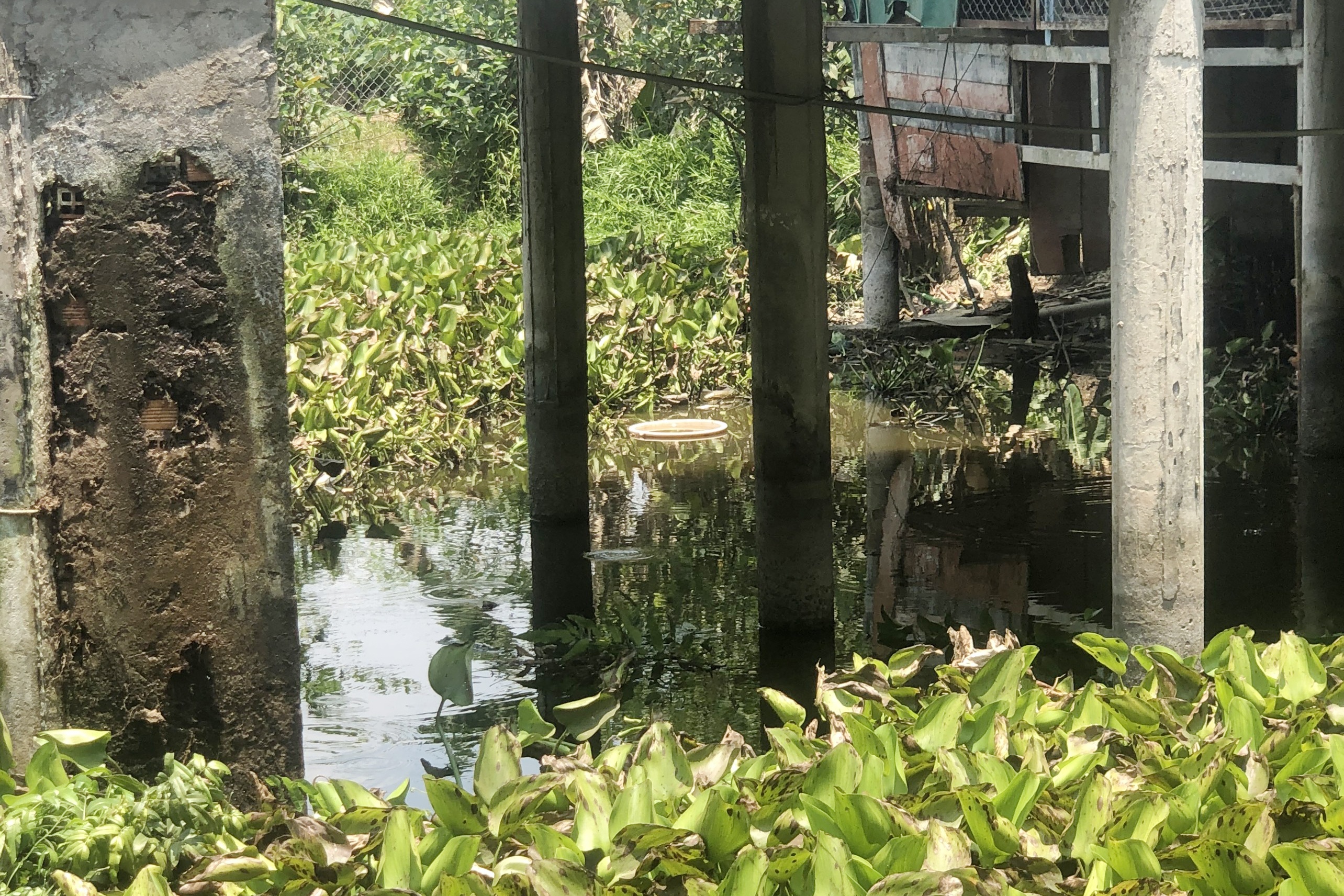 Keo dien chich ca, nguoi dan ong bi dien giat tu vong hinh anh