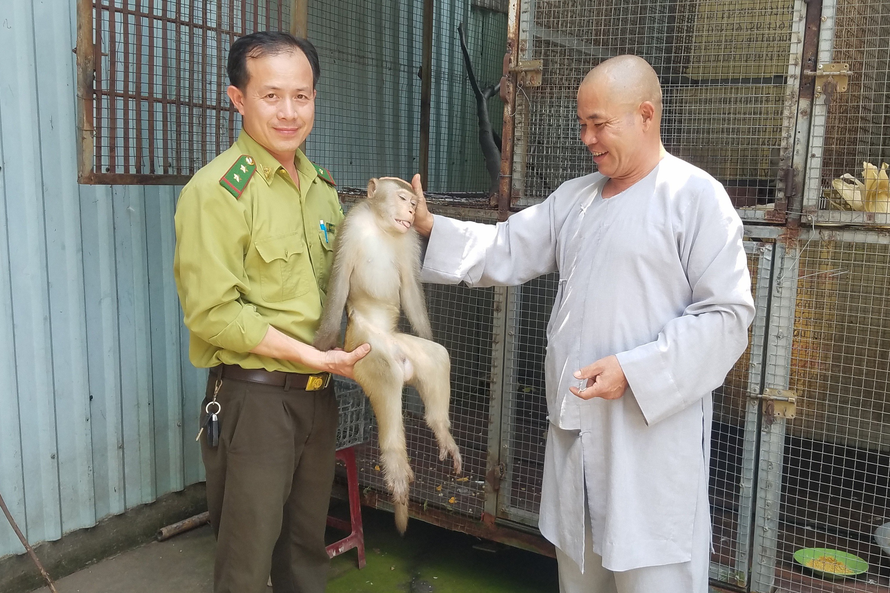 kiem lam TP.HCM anh 1