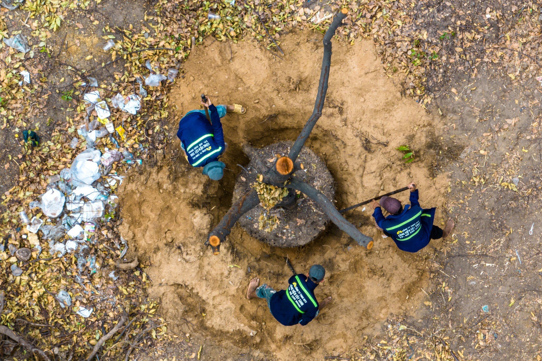 di doi cay xanh anh 4