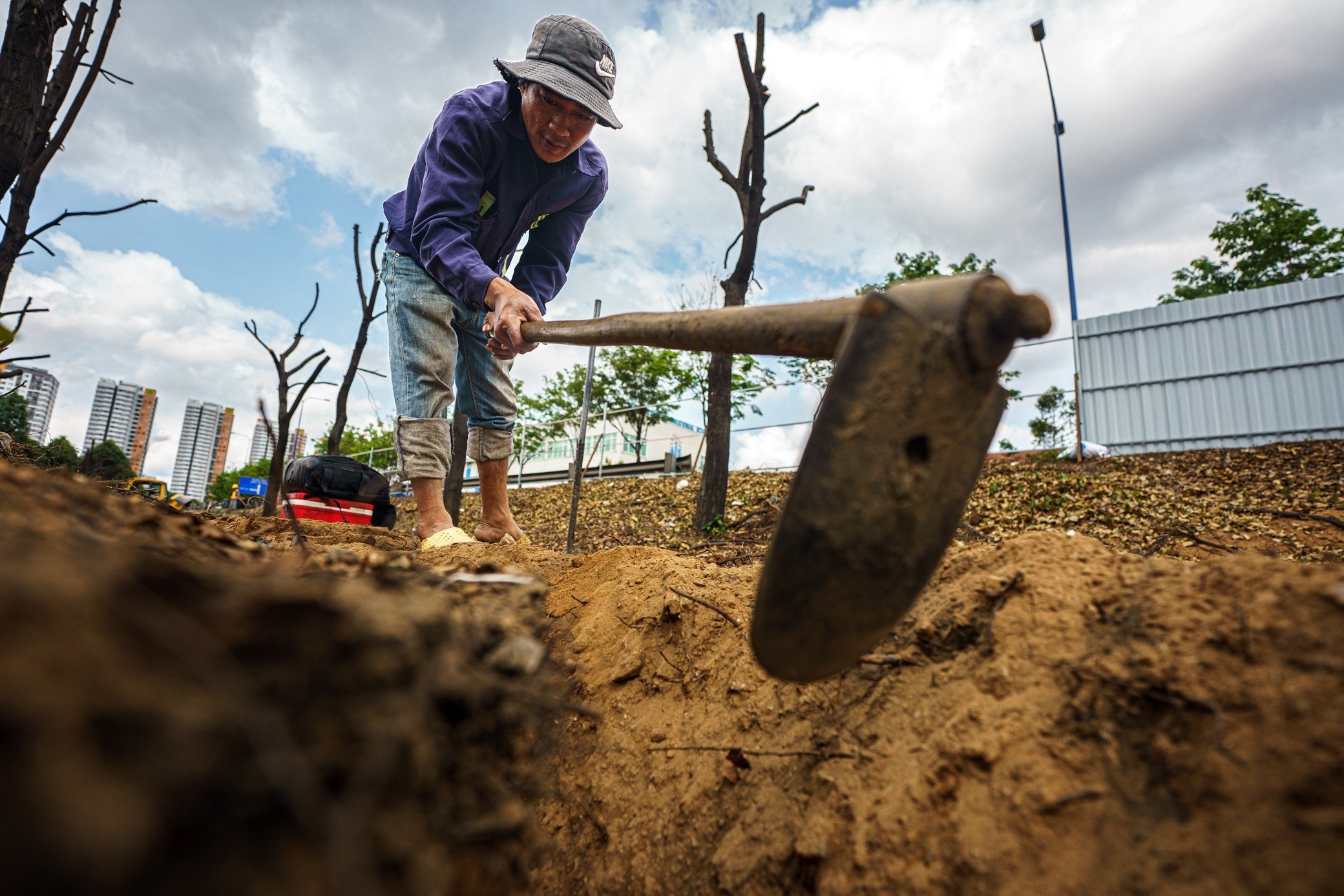 di doi cay xanh anh 5