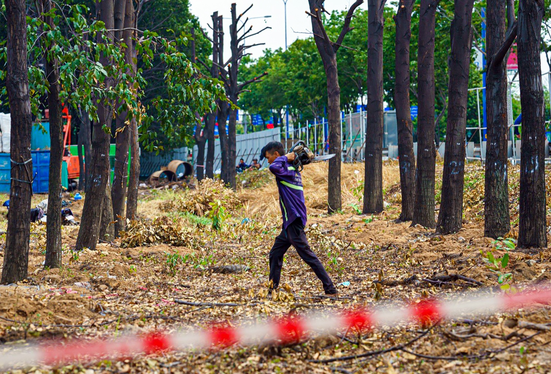 di doi cay xanh anh 7