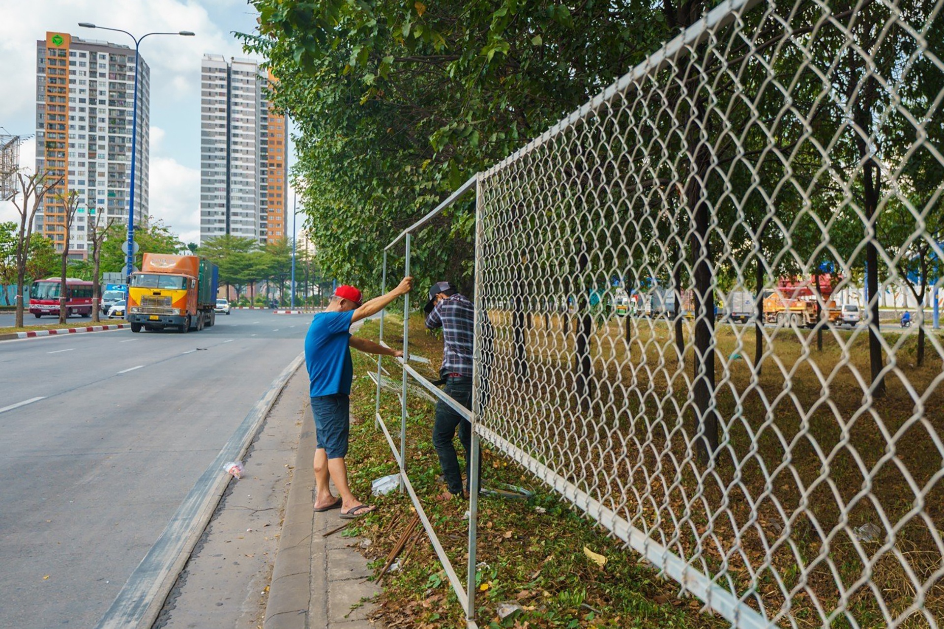 di doi cay xanh anh 8