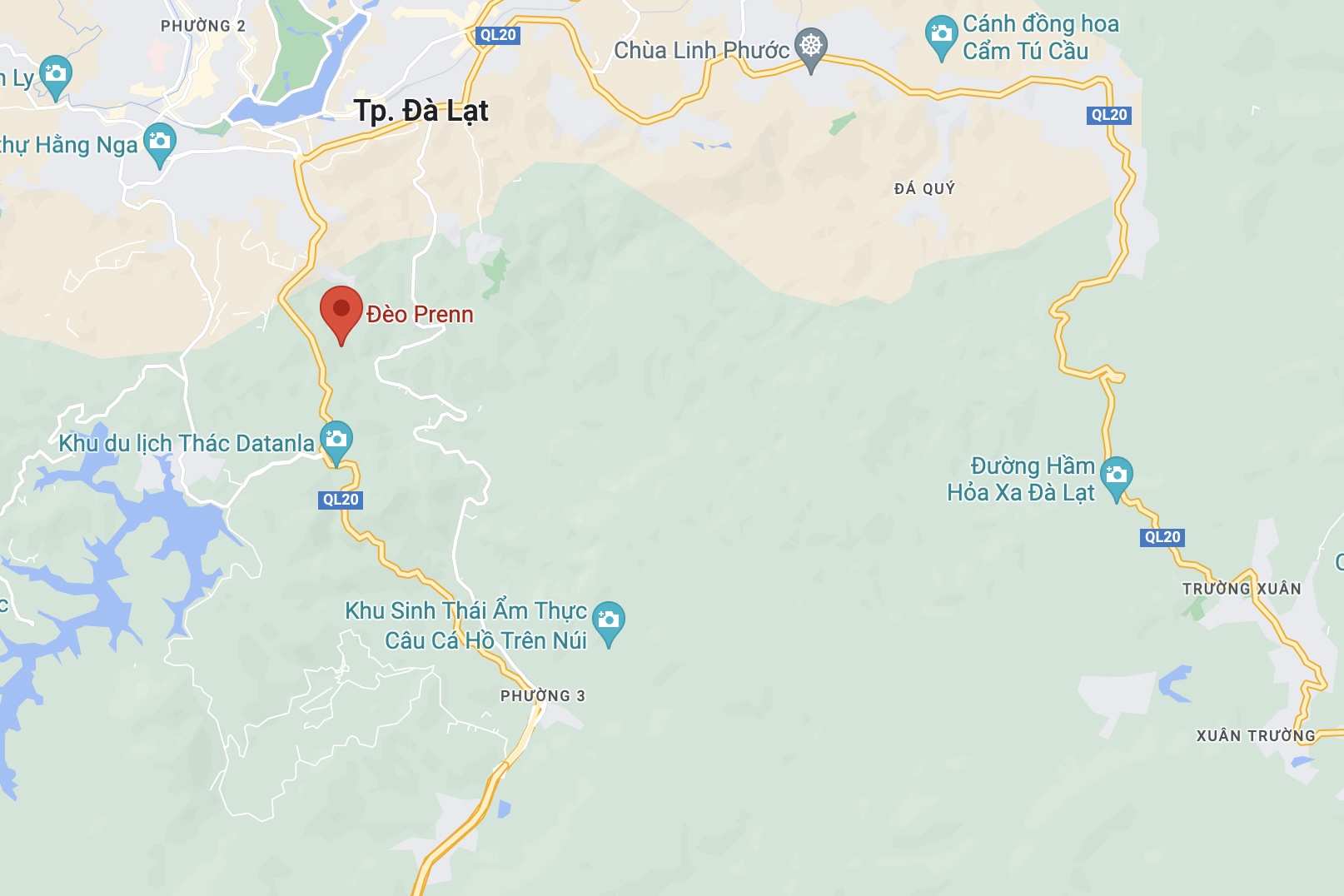 chay rung thong anh 2