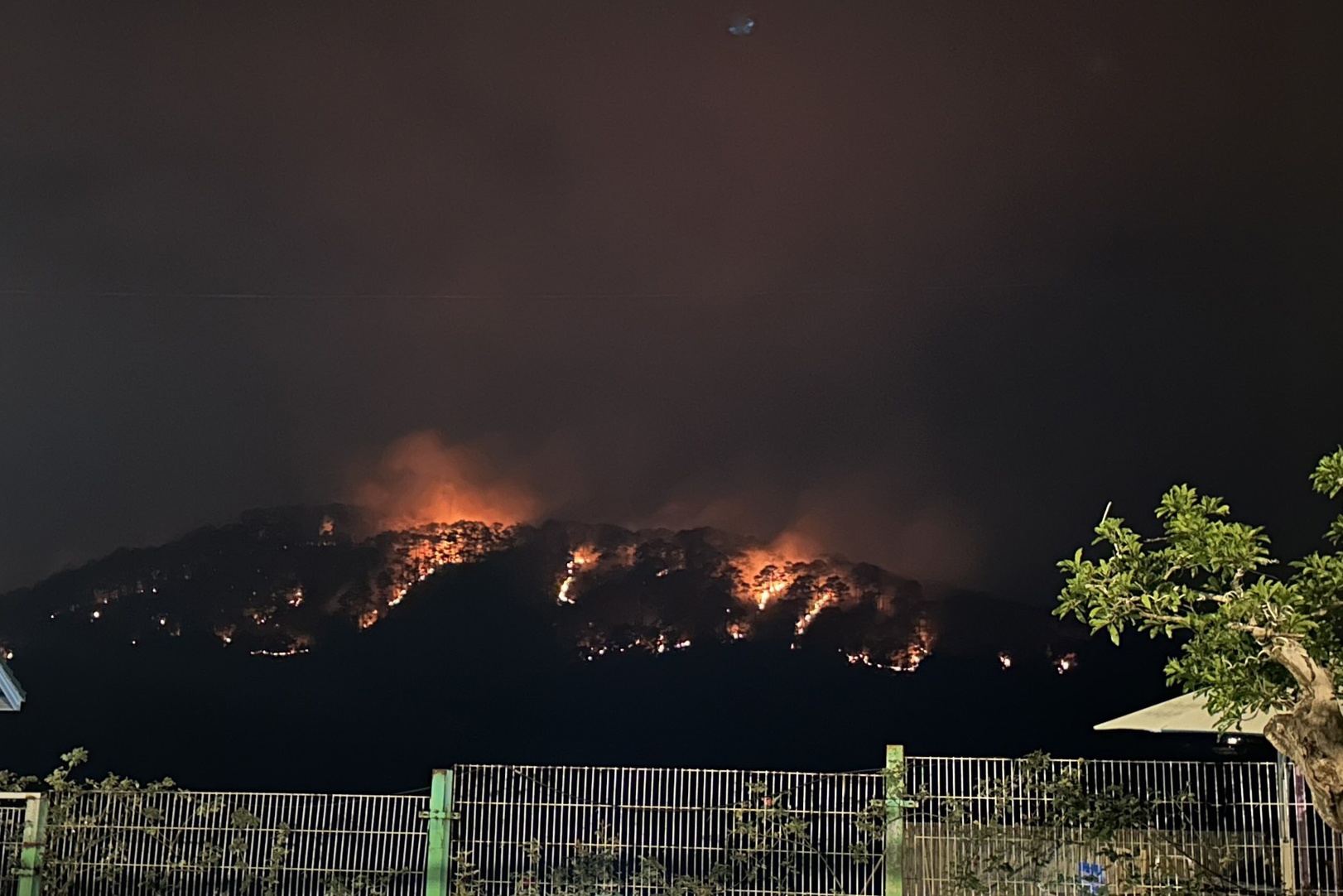 chay rung thong anh 1