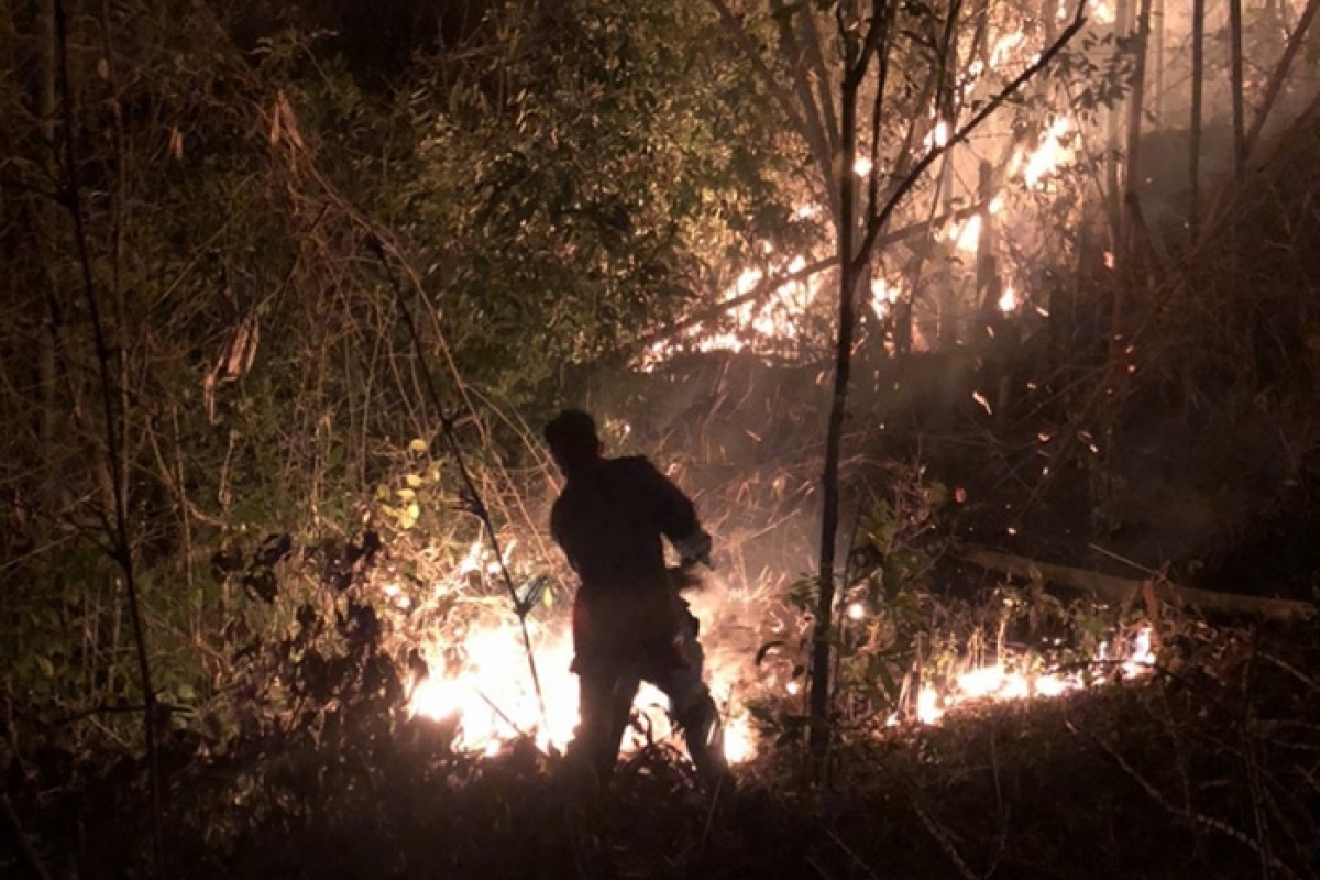 Hang tram nguoi chua chay rung trong dem hinh anh