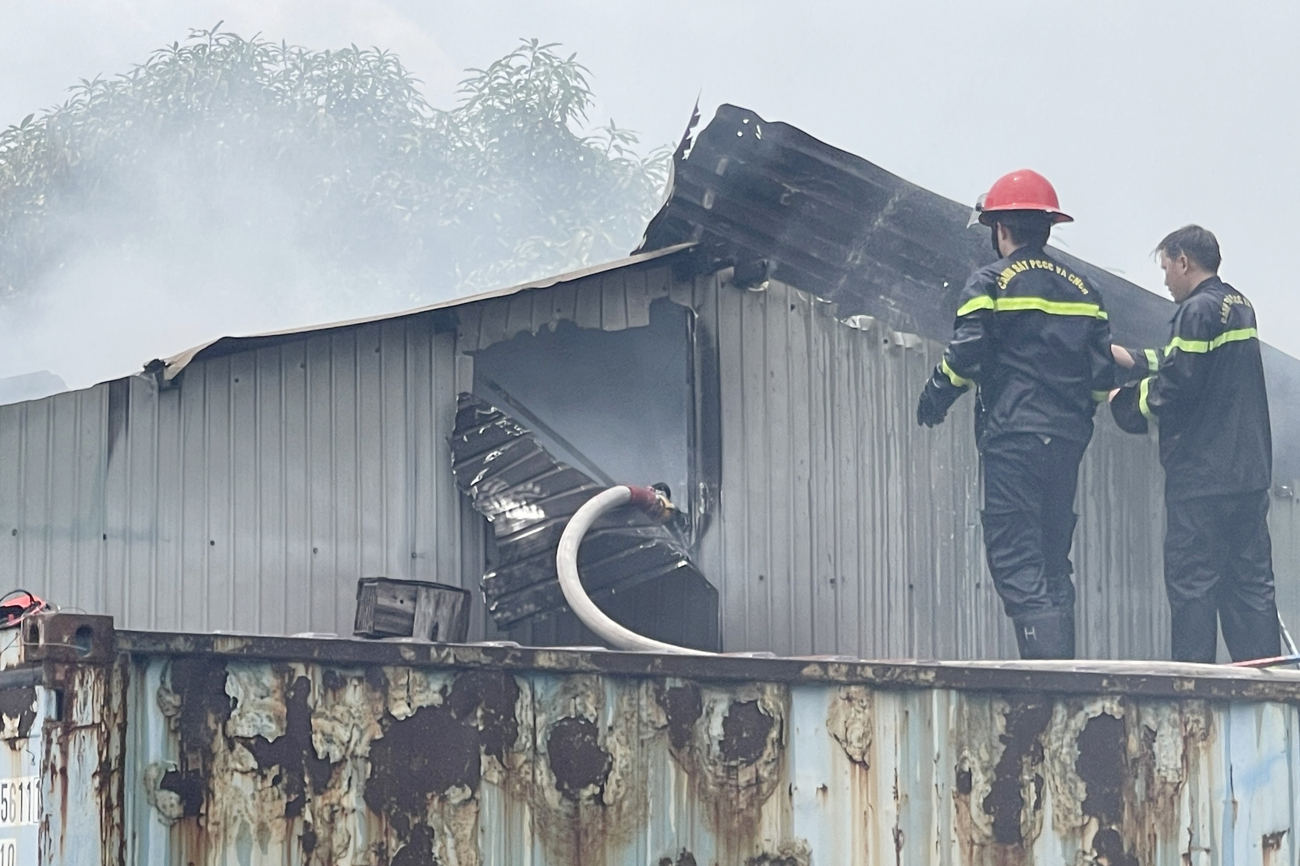 Hoa hoan thieu rui xuong banh keo o TP.HCM hinh anh