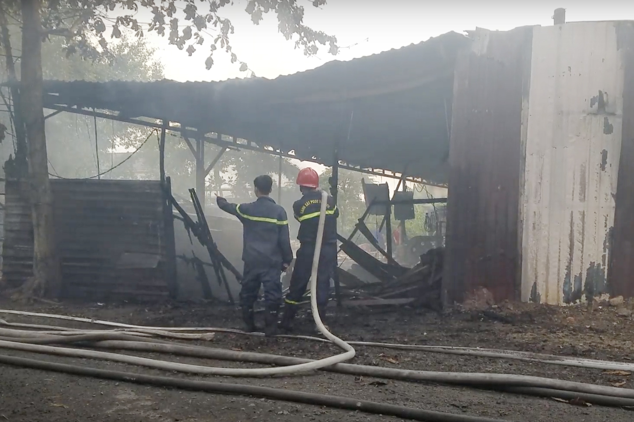 chay bai phe lieu anh 1