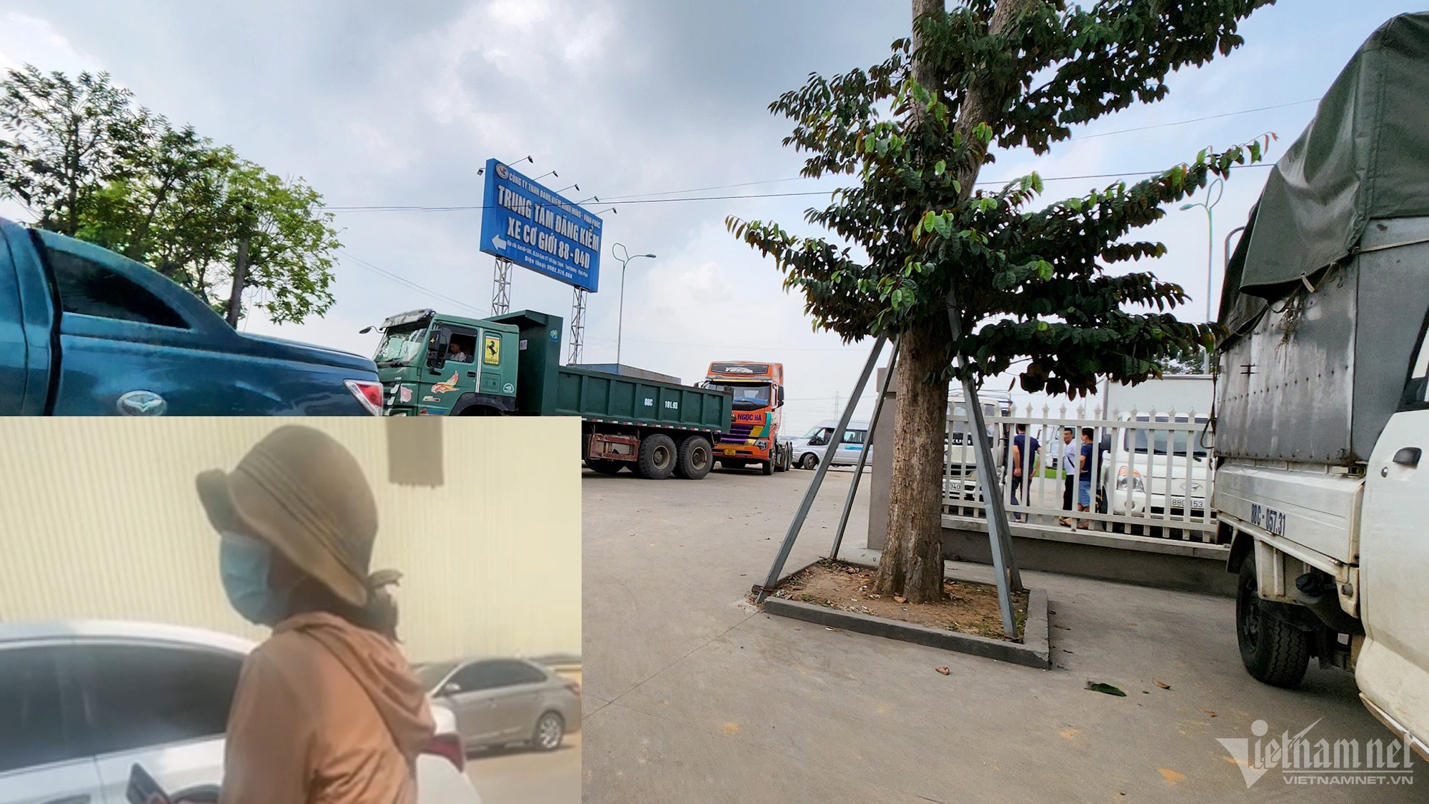 co moi dang kiem anh 1