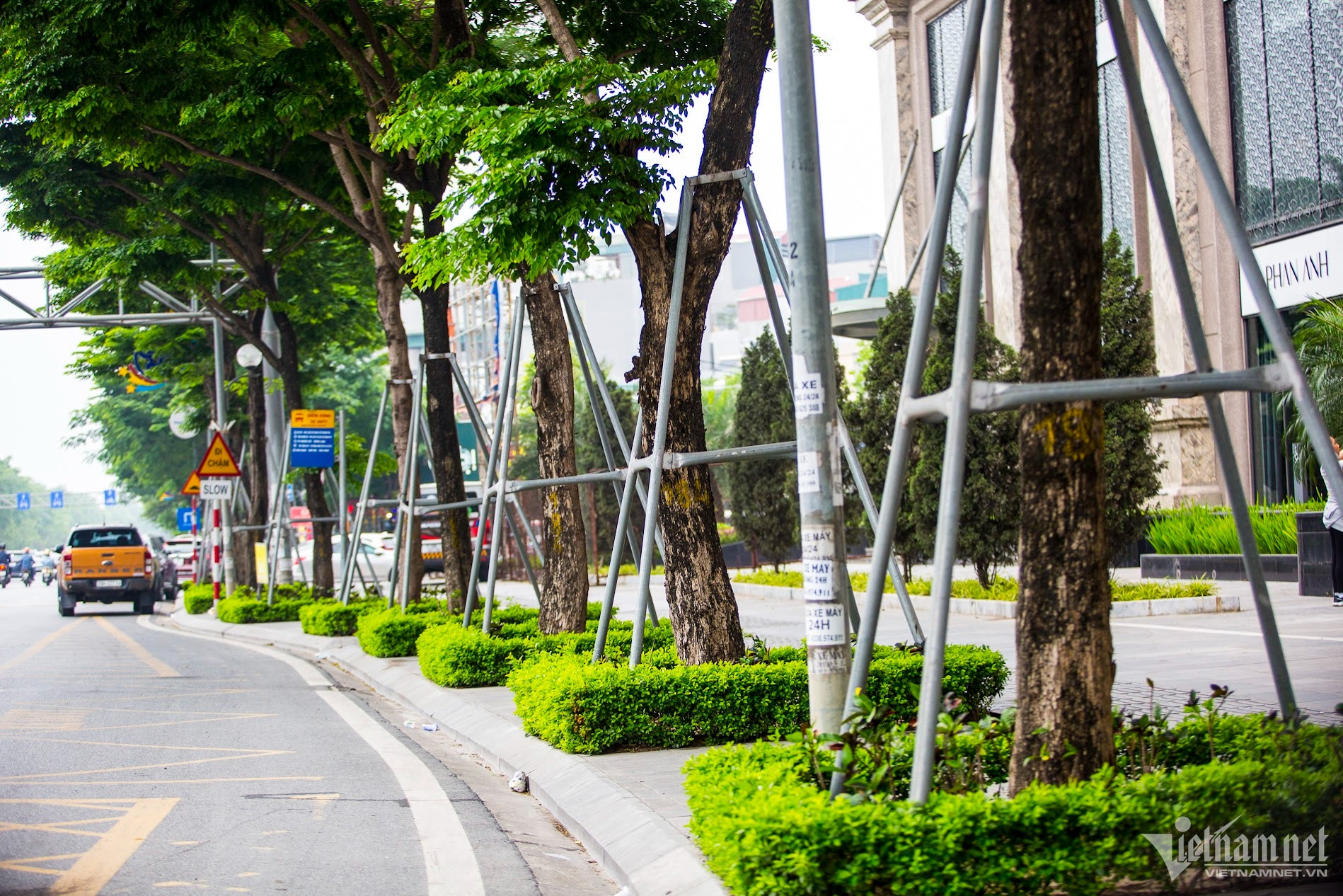 cay xanh Ha Noi anh 4