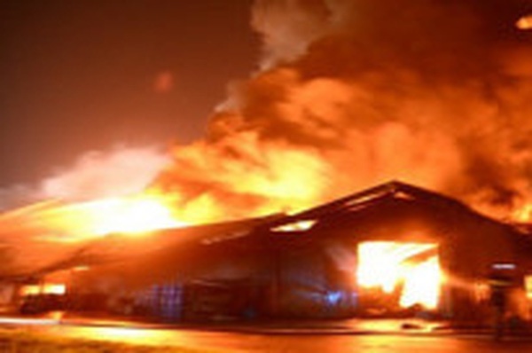 Chong ngao da nhot vo con vao nha roi cham lua dot hinh anh