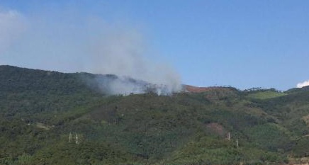 150 nguoi dap chay o rung keo Quang Ninh trong nhieu gio hinh anh