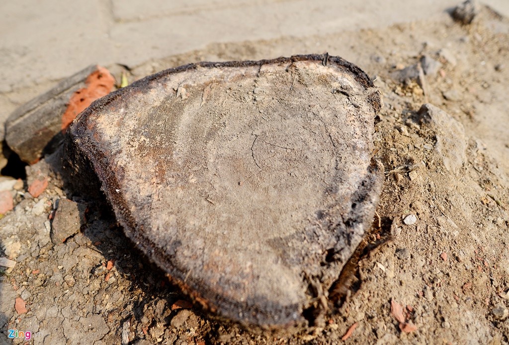 Dan Ha Noi xin de lai cay xanh, lanh dao xa quyet chat de dep via he hinh anh