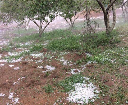 Mua da o Son La anh 2