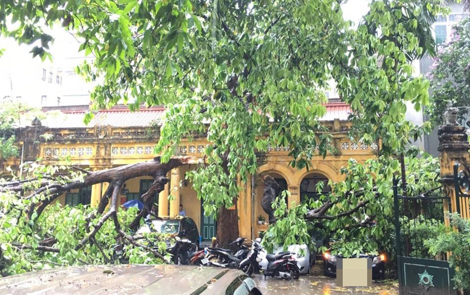 Đường phố Hà Nội bị ngập sau mưa ảnh 2 Duong pho Ha Noi bi ngap sau mua anh 2