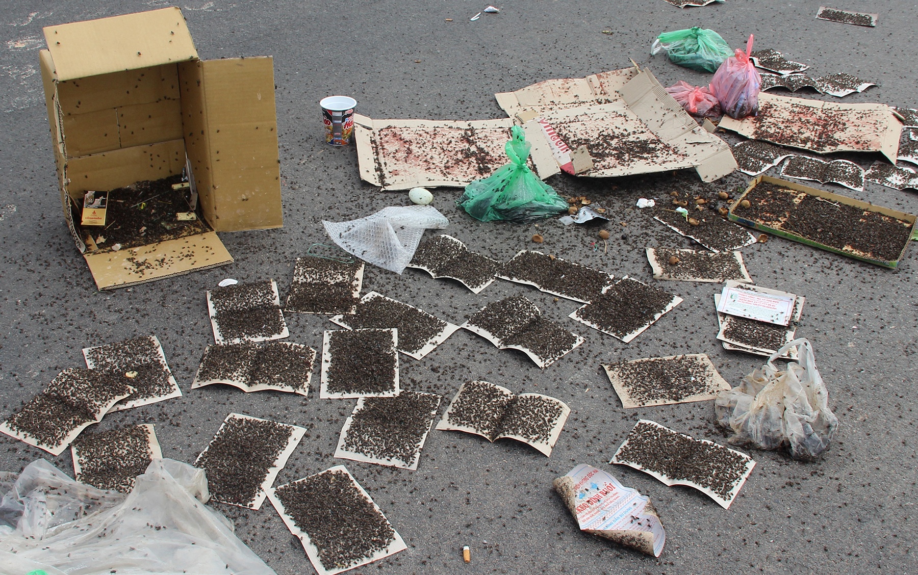 mang ruồi ra đường chặn ôtô chở rác ảnh 3 mang ruoi ra duong chan oto cho rac anh 3