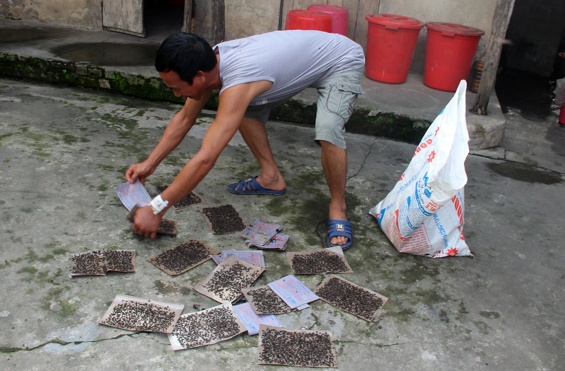 mang ruoi ra duong chan oto cho rac anh 4