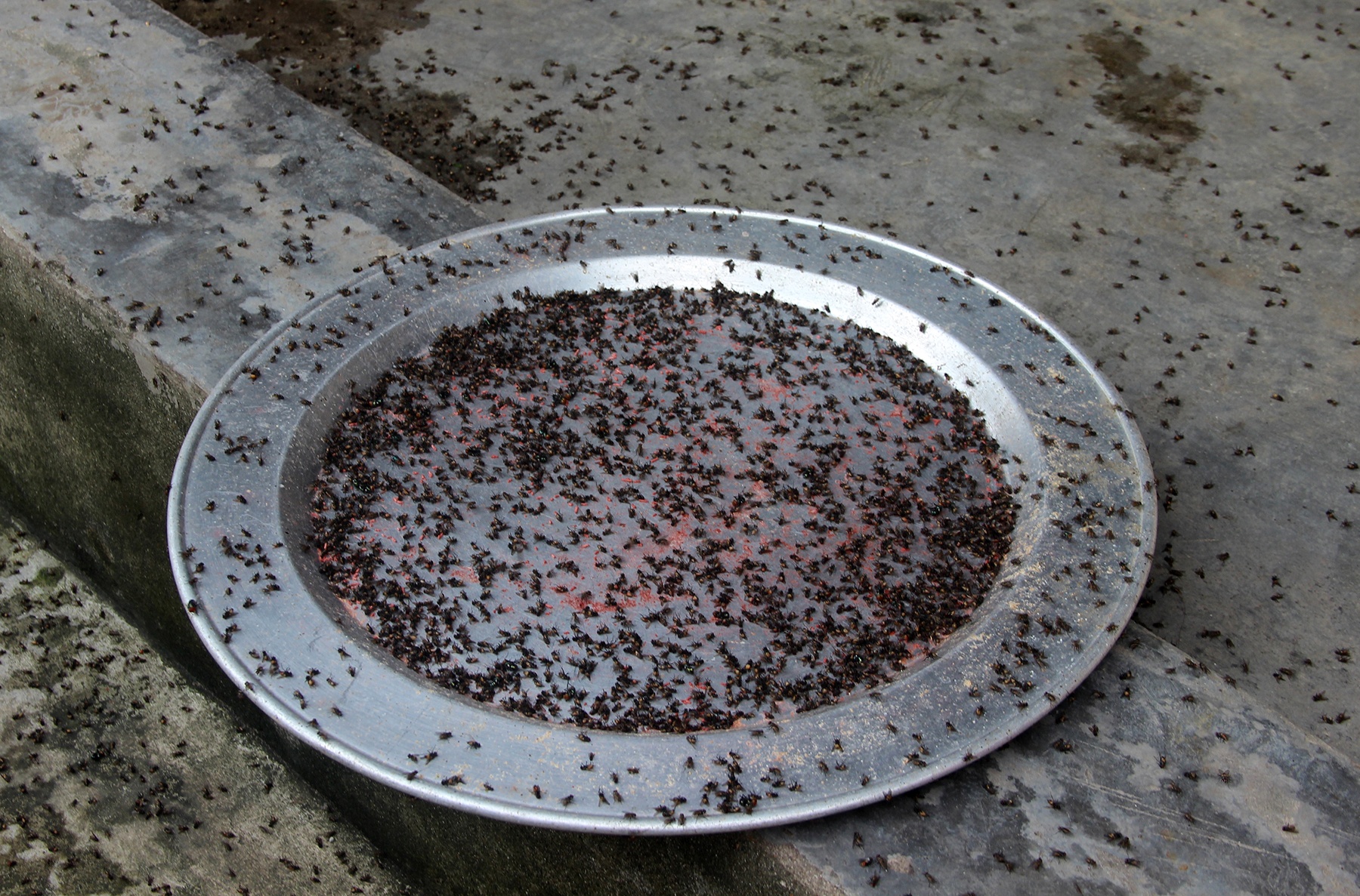 Dan mang hang kg ruoi ra duong chan xe vao bai rac hinh anh