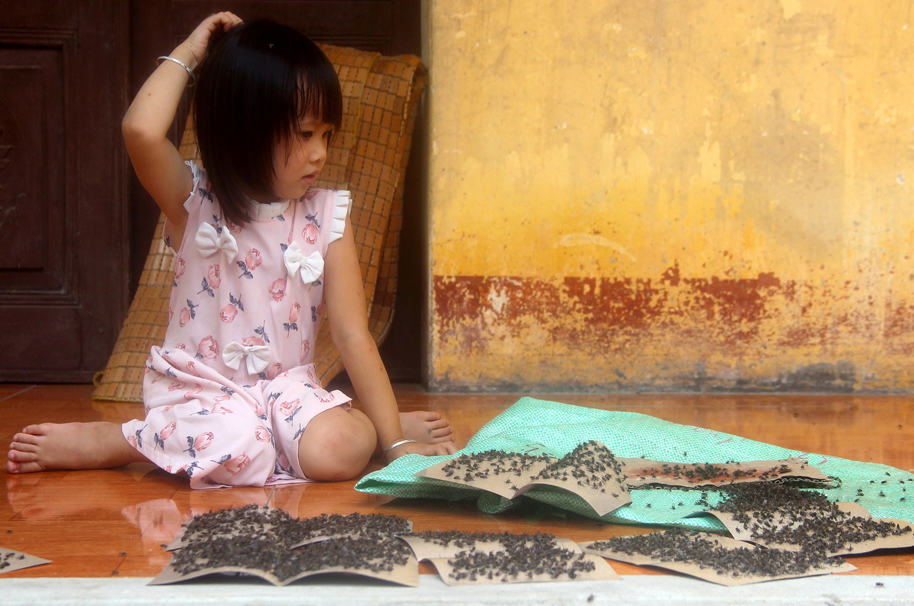 mang ruoi ra duong chan oto cho rac anh 8