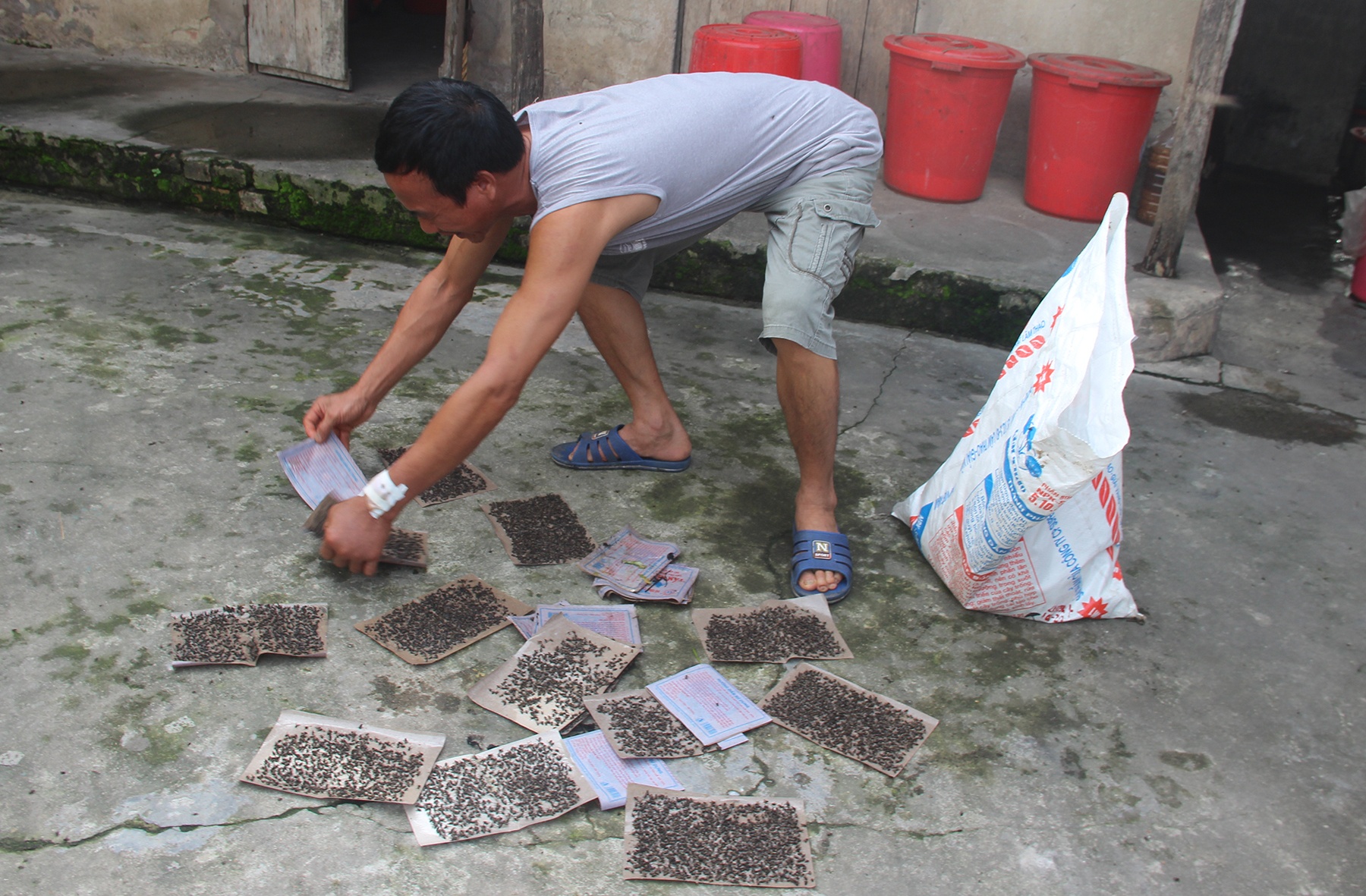 Mang ruoi ra duong chan oto cho rac vao bai tap ket hinh anh