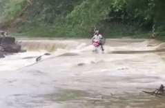 Bi cuon troi ca nguoi va xe may khi lieu minh bang qua nuoc lu hinh anh